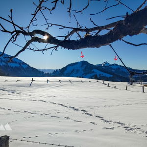 Köpfel-Köpfel-Spitz