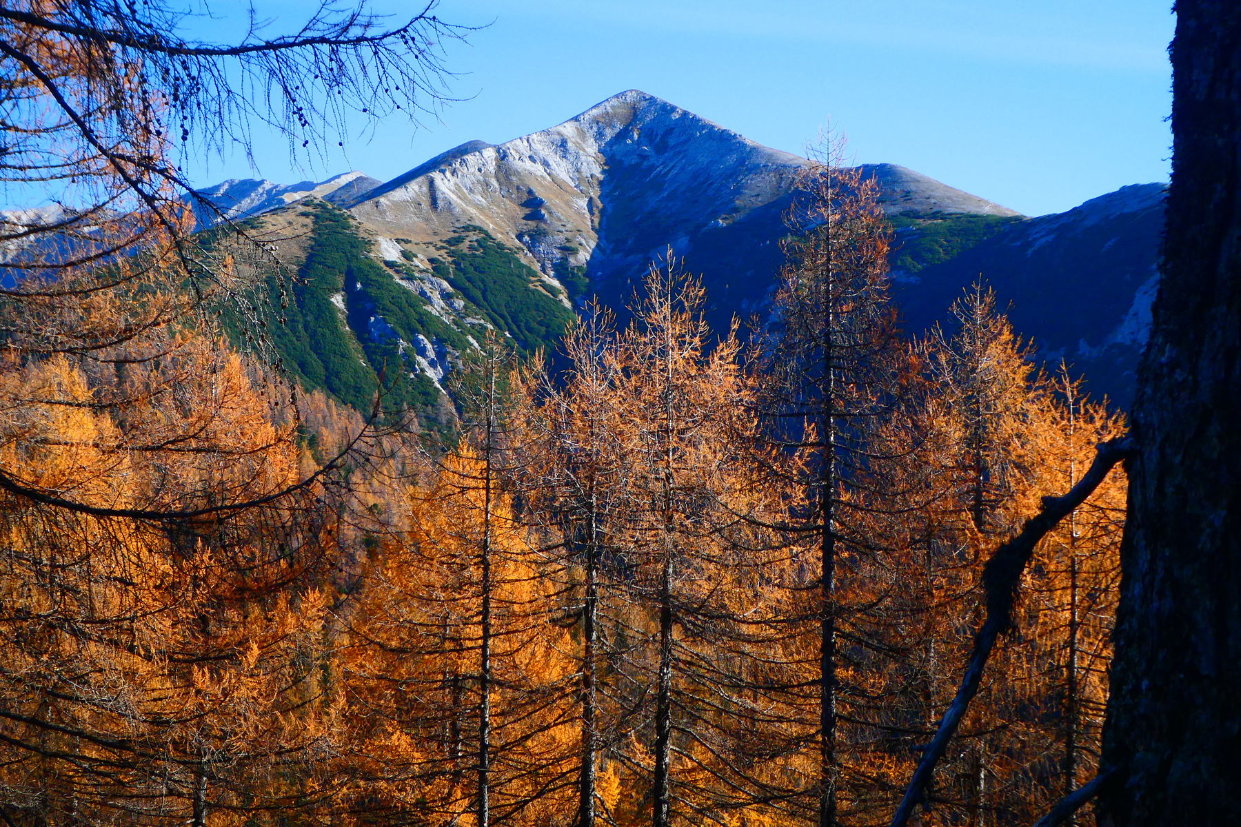 Vier Tage Herbst im Toten Gebirge: Warscheneck – Hochmölbing – Tauplitz