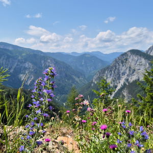 Sommer-Kombi: Aufstieg zur Knofeleben und Abkühlung in der Schwarza