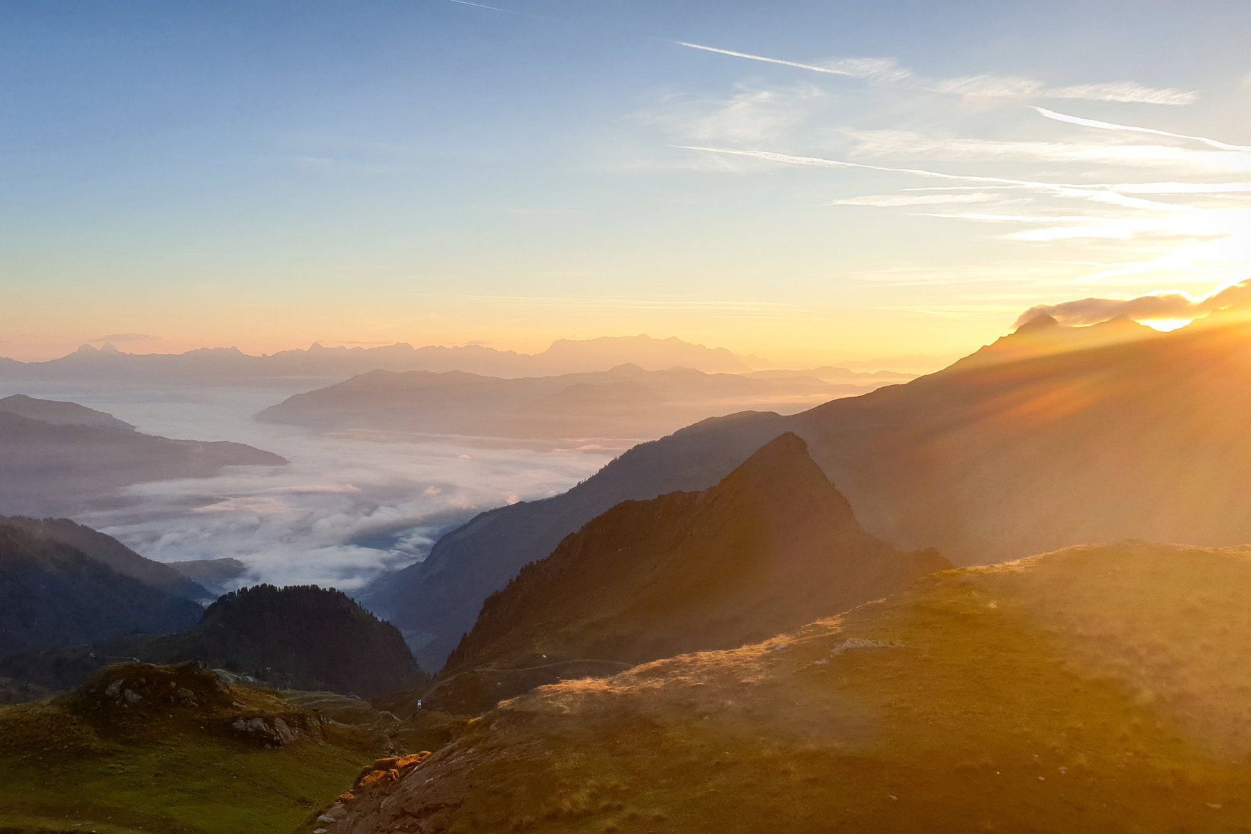 Morgenstimmung. Foto: Markus Büchler