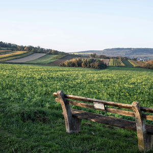 Kultur, Genuss und Weitblick auf dem Weg von Göttweig nach Herzogenburg