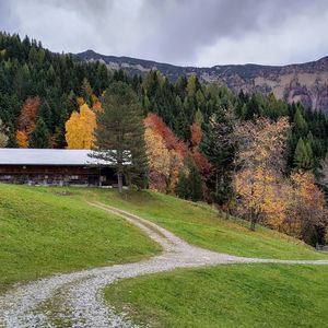 Hidden Pearls: Die Davidrunde (Bike and Hike zur Oberhellweng- und Ascheralm)