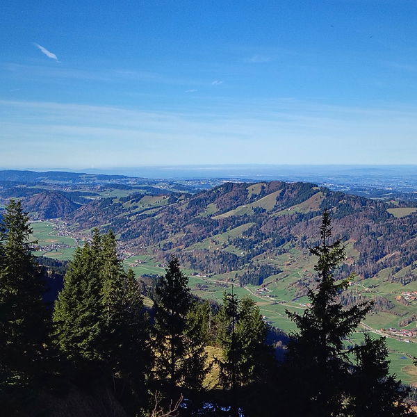 Aufs Immenstädter Horn