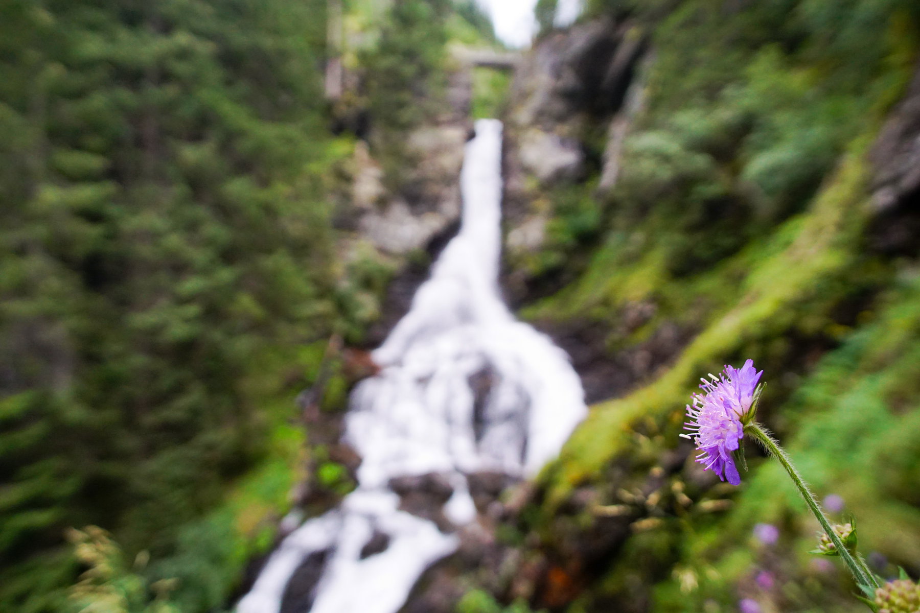 Foto: Thomas Obermair, POW AT