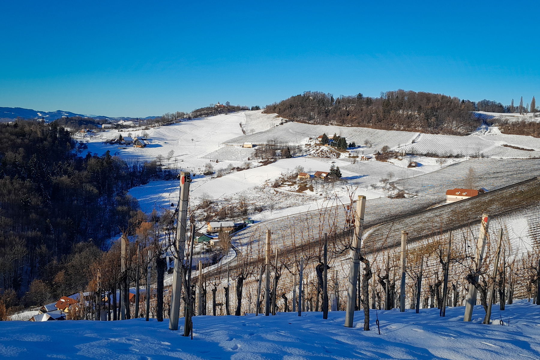 Winterwanderung vom Bahnhof Spielfeld-Strass auf den Platsch