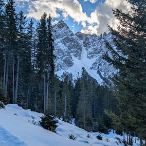 Rodeln in Maria Waldrast